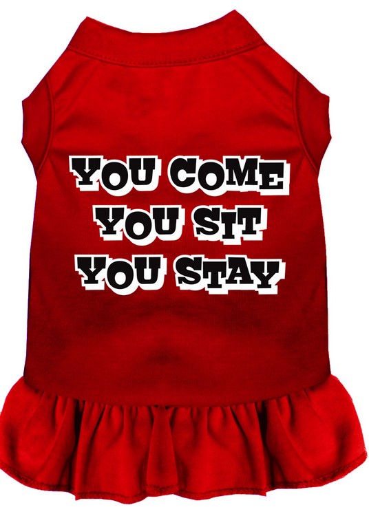 You Come, You Sit, You Stay Screen Print Dress Red XXL